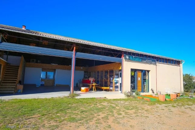 À la découverte de Réalia : Immersion au cœur d’une entreprise corse engagée