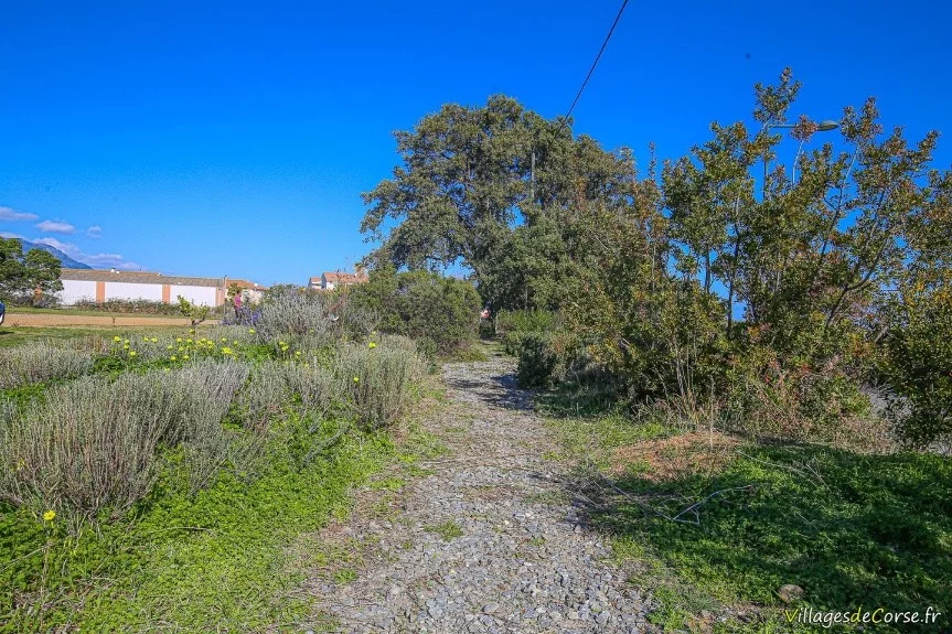 À la découverte de Réalia : Immersion au cœur d’une entreprise corse engagée